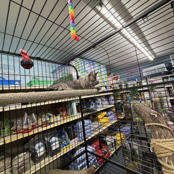 Midway Tropical Fish & Pets - Pet Stores Near Me - Kent, Washington Midway Tropical Fish & Pets - Pet Stores Near Me - Kent, Washington