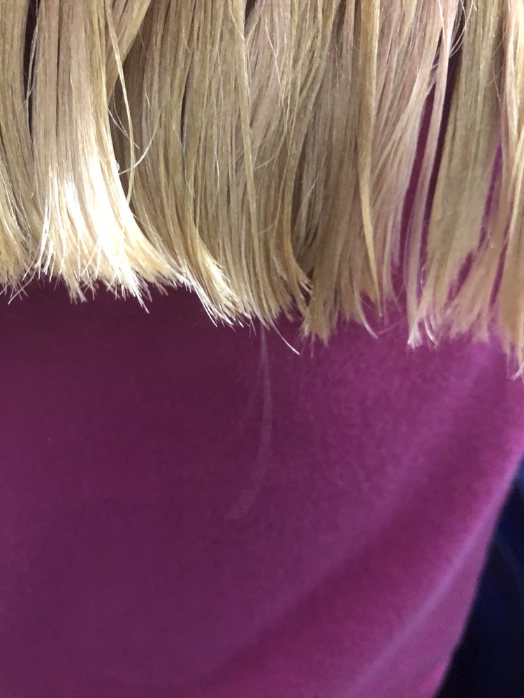 Great Clips Logo