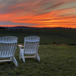Hummingbird Hill