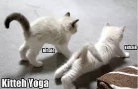 Fan Hot Yoga Logo