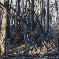 Latta Nature Preserve - Stick shelter