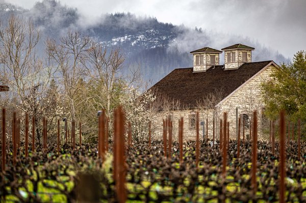 HALL Wines St. Helena by null
