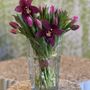 Photo of Tulip Drip Flowers