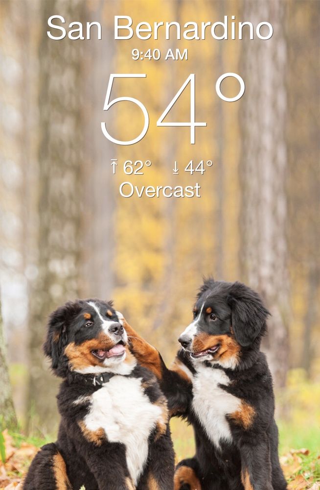 Social spots from Littlefield/Shultis Park