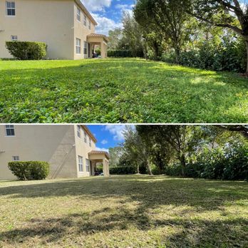 Greener Grounds Lawn Service - Overgrown lawn full of weeds cut down - Lawn Services Near Me Greener Grounds Lawn Service - Overgrown lawn full of weeds cut down - Lawn Services Near Me