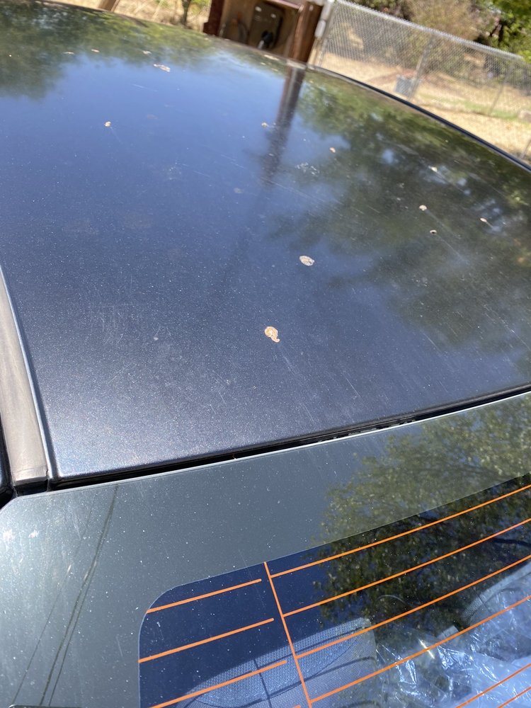 MISTER CAR WASH 33 Photos & 20 Reviews 7373 N Mesa St, El Paso