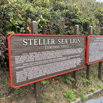 Sea Lion Caves - Description. - Active Life Near Me - Florence, Oregon Sea Lion Caves - Description. - Active Life Near Me - Florence, Oregon