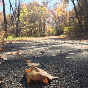 Iroquois Park - The hills of Iroquois make for beautiful running scenery. - Parks Near Me - Louisville, Kentucky Iroquois Park - The hills of Iroquois make for beautiful running scenery. - Parks Near Me - Louisville, Kentucky