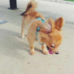 Our little baby a week after we purchased him from this location.