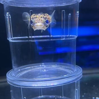 Art’s Underwater Reef - Aquarium Services Near Me - Pasadena, California Art’s Underwater Reef - Aquarium Services Near Me - Pasadena, California