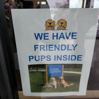 Miller Mobility Products - Worth a visit to the store just to see the pups! - Mobility Equipment Sales & Services Near Me - Oconomowoc, Wisconsin Miller Mobility Products - Worth a visit to the store just to see the pups! - Mobility Equipment Sales & Services Near Me - Oconomowoc, Wisconsin