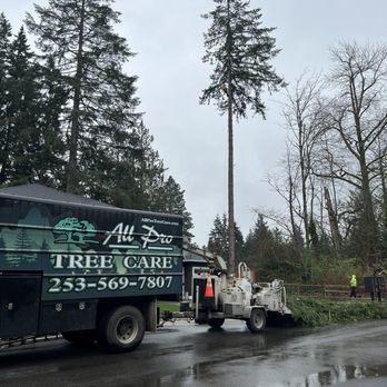 All Pro Tree Care - Awesome truck and equipment - Tree Services Near Me - Auburn, Washington All Pro Tree Care - Awesome truck and equipment - Tree Services Near Me - Auburn, Washington