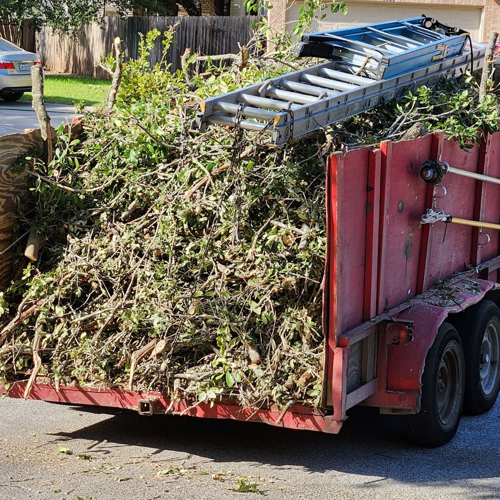 Tree Green Services - Tree Services Near Me - Austin, Texas