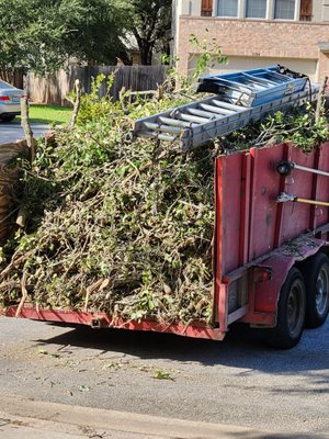 Keeping Your Trees Healthy and Happy. - s your yard ready for the season? Our fall tree care services include leaf removal, pruning, and preparation for winter. Ensure your trees thrive year-round—call us now! Keeping Your Trees Healthy and Happy. - s your yard ready for the season? Our fall tree care services include leaf removal, pruning, and preparation for winter. Ensure your trees thrive year-round—call us now!