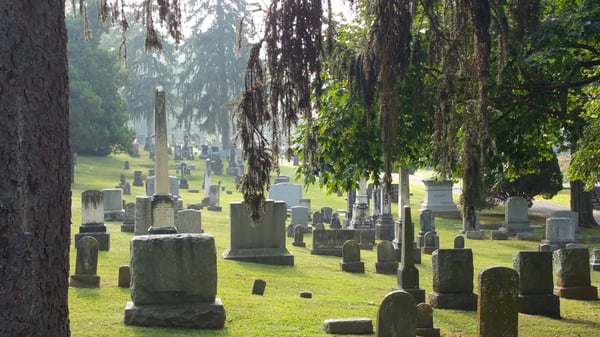 Thornrose Cemetery by null
