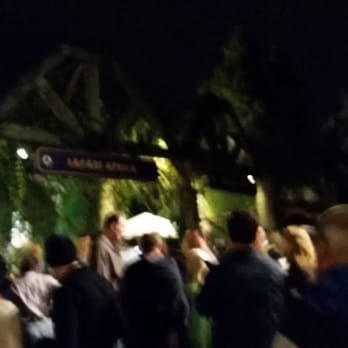 Zoofari - Waiting to get in. Starts at 7pm - Festivals Near Me - Tampa, Florida Zoofari - Waiting to get in. Starts at 7pm - Festivals Near Me - Tampa, Florida