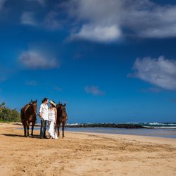 Masters Photo - Wedding Photography - Equine Photography