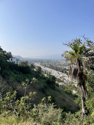 Elysian Park Trail by null