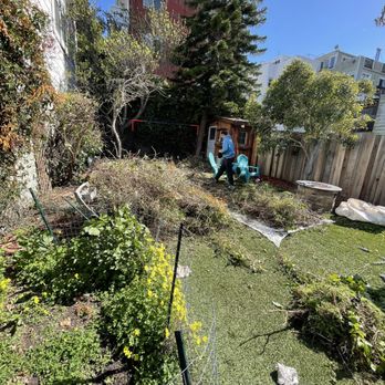 Gardenias Landscape - cleaning - Lawn Services Near Me Gardenias Landscape - cleaning - Lawn Services Near Me