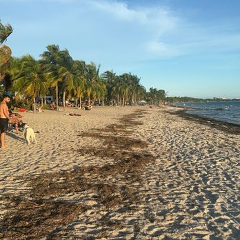 Key Biscayne - Beaches Near Me Key Biscayne - Beaches Near Me