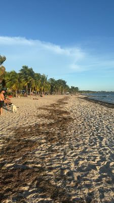 Key Biscayne by null
