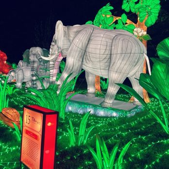 China Lights Wisconsin - Festivals Near Me - Hales Corners, Wisconsin China Lights Wisconsin - Festivals Near Me - Hales Corners, Wisconsin