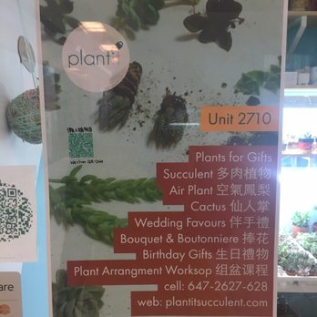 Plant It - Flowers & Gifts Near Me - Markham, Ontario