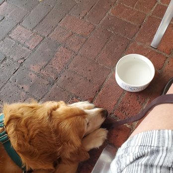 Shorehouse Kitchen - Dog Friendly! - Coffee & Tea Near Me - La Jolla, California Shorehouse Kitchen - Dog Friendly! - Coffee & Tea Near Me - La Jolla, California