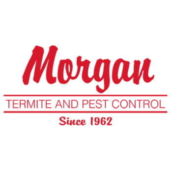 Morgan Termite and Pest Control - Pest Control Near Me - St George, Utah Morgan Termite and Pest Control - Pest Control Near Me - St George, Utah