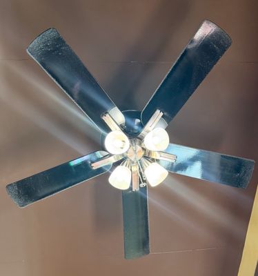 Absolute Thai Restaurant by null