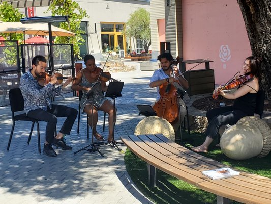 Music in the Vineyards by null