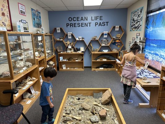 Children's Natural History Museum by null