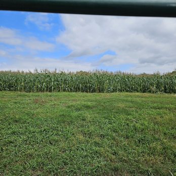 Alstede Farms - Lots of green! - Fruits & Veggies Near Me - Chester, New Jersey