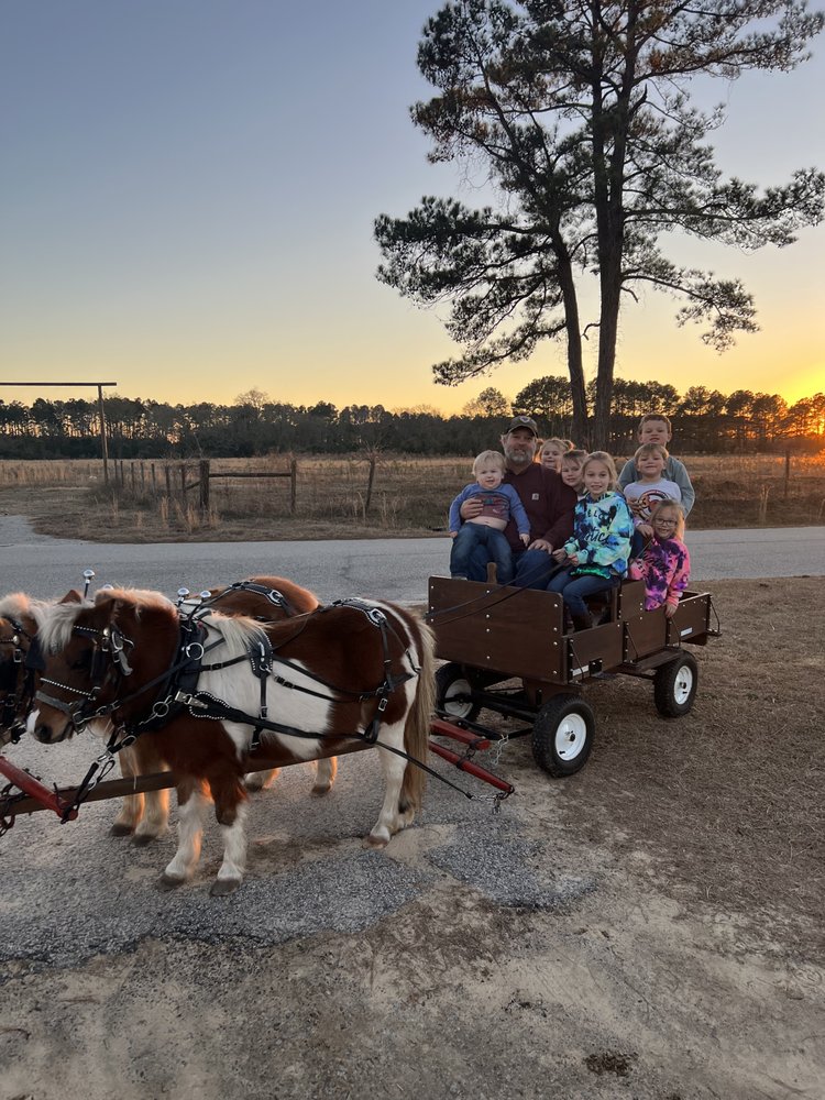 TUFFY FARMS PARTY PONIES AND MORE Updated August 2024 1332