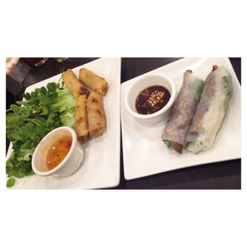 Mai's Restaurant - Vietnamese egg rolls on the left & port spring rolls on the right. - Vietnamese Near Me - Houston, Texas