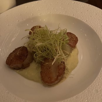 Zen Kitchen - scallops - Sushi Bars Near Me - Las Vegas, Nevada Zen Kitchen - scallops - Sushi Bars Near Me - Las Vegas, Nevada