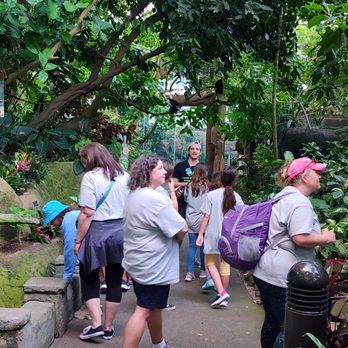 Rainforest Pyramid - The private tour and my GS troop - Botanical Gardens Near Me - Galveston, Texas Rainforest Pyramid - The private tour and my GS troop - Botanical Gardens Near Me - Galveston, Texas