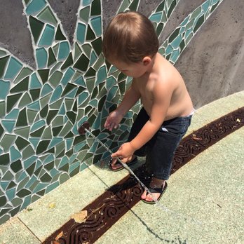 Carson Park - Trying to catch the water - Parks Near Me - Carson, California