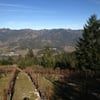Andrew Geoffrey Vineyards gift card