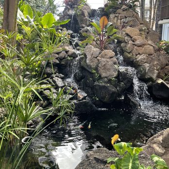 White Sands Hotel - Hotels Near Me - Honolulu, Hawaii