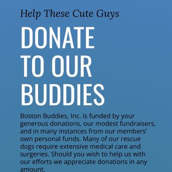 BostonBuddies - Your donations to Boston Buddies go towards veterinary care for these lovable dogs who are in need! - Animal Shelters Near Me - Huntington Beach, California BostonBuddies - Your donations to Boston Buddies go towards veterinary care for these lovable dogs who are in need! - Animal Shelters Near Me - Huntington Beach, California