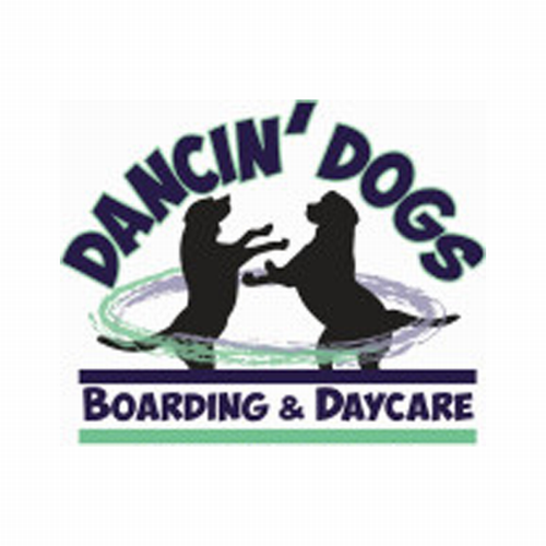 Dancin' Dogs Boarding & Daycare Image
