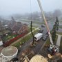 Big Dave's Tree Service