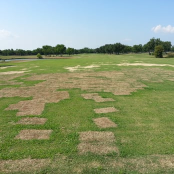 Bay Forest Golf Course - Tetris? - Golf Near Me - La Porte, Texas