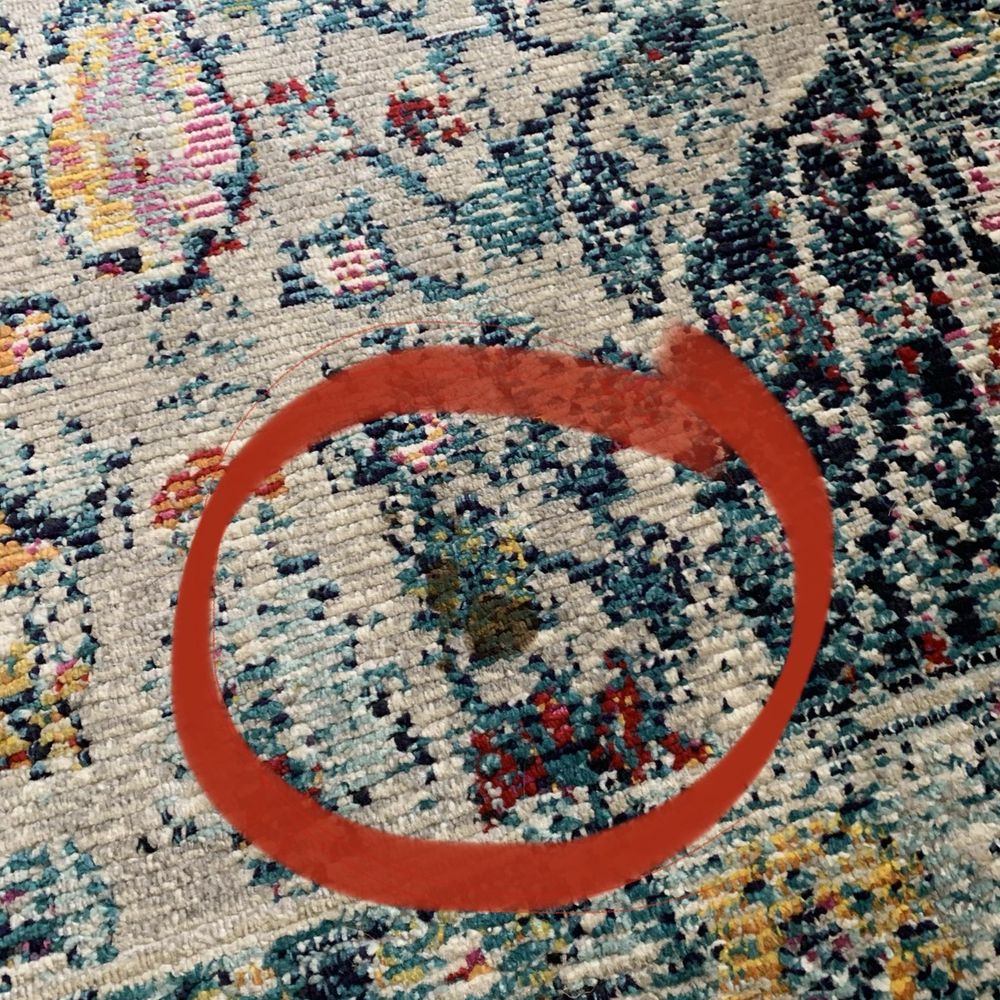Levine & Sons Plumbing, Heating & AC - Sewage on my new rug at the front door - Heating & Air Conditioning/HVAC Near Me - Southfield, Michigan