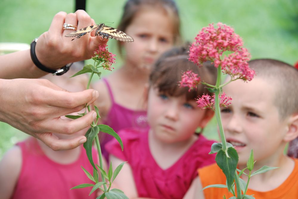 MANSFIELD CHILDREN’S CENTER Updated September 2024 Request