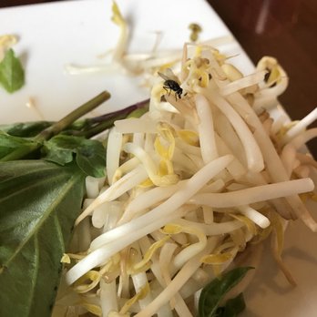 Pho Thinh - Vietnamese Near Me - Spokane, Washington