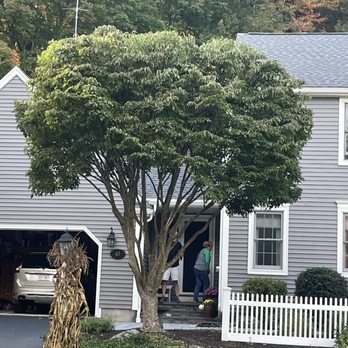 Uxbridge Tree Service - After - Tree Services Near Me - Uxbridge, Massachusetts
