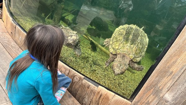 Shreveport Aquarium by null