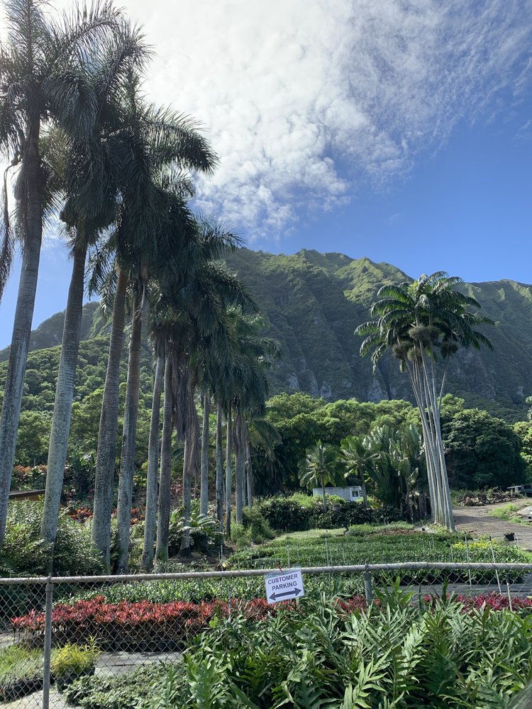 SHARON’S PLANTS LTD Updated October 2024 65 Photos & 52 Reviews